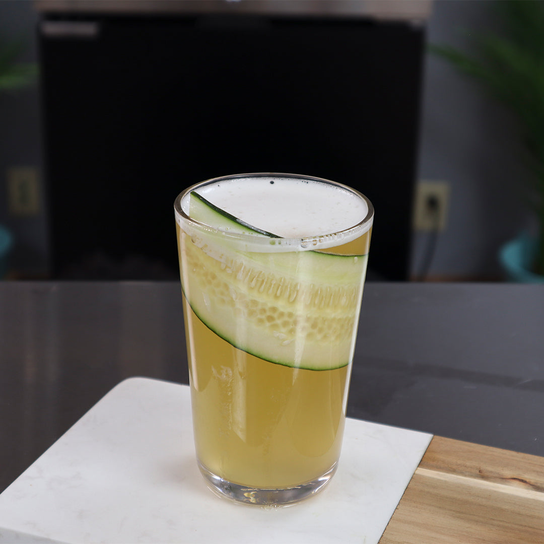 Nitry NiTry This Kombucha – Enhanced Beverage Solutions